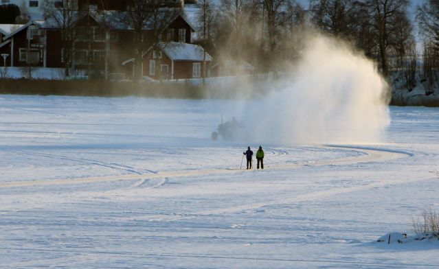 2016-01-30 Snöslunga och skridskååkareME L1371