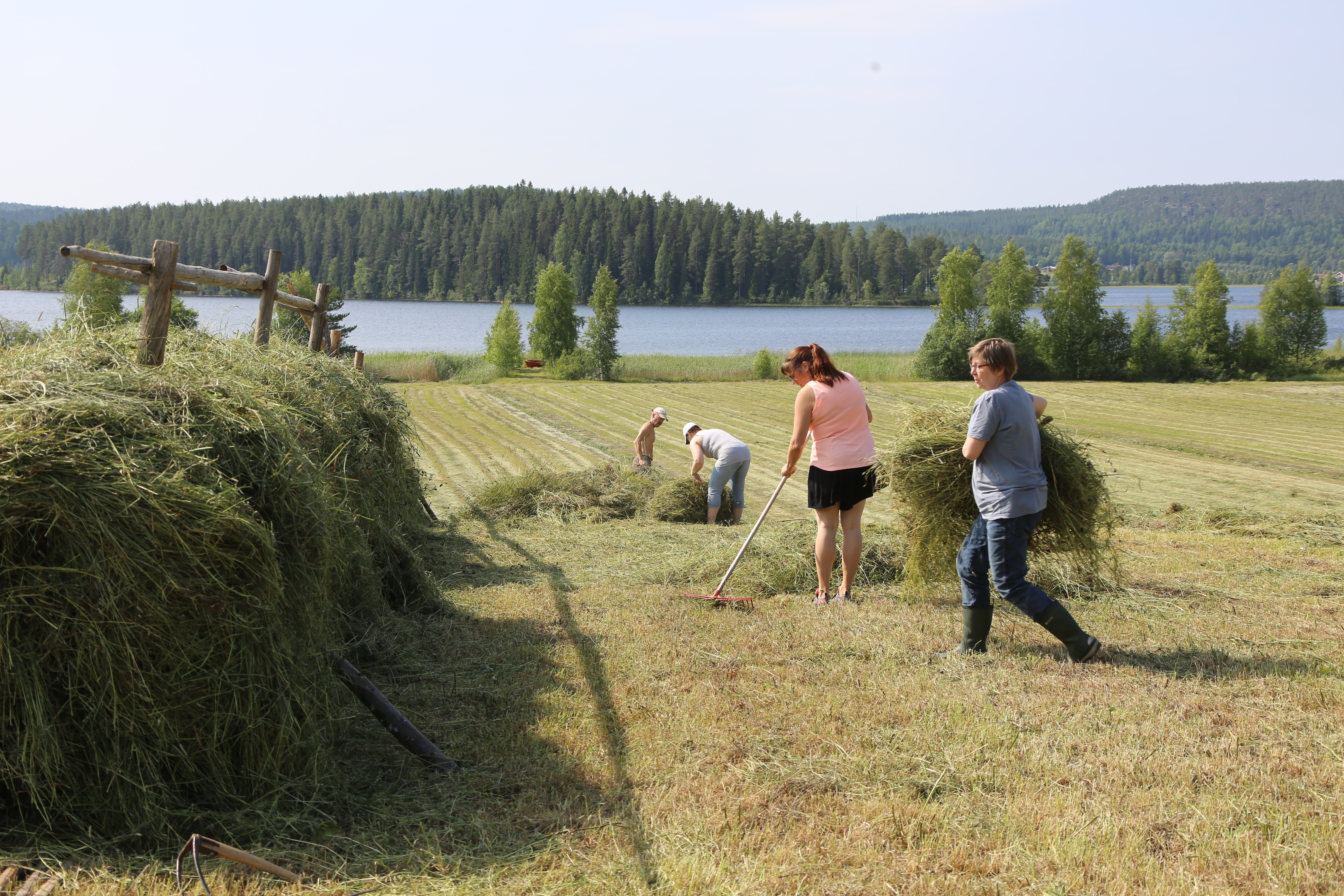 2017 07 26 5740 Hässjning