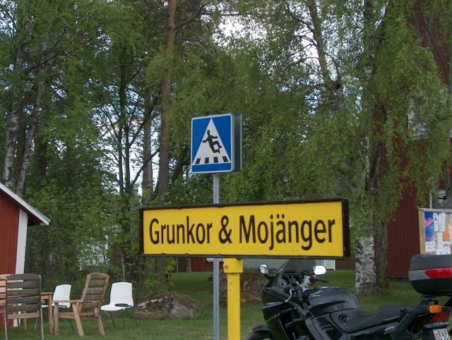 Glädjeskutt