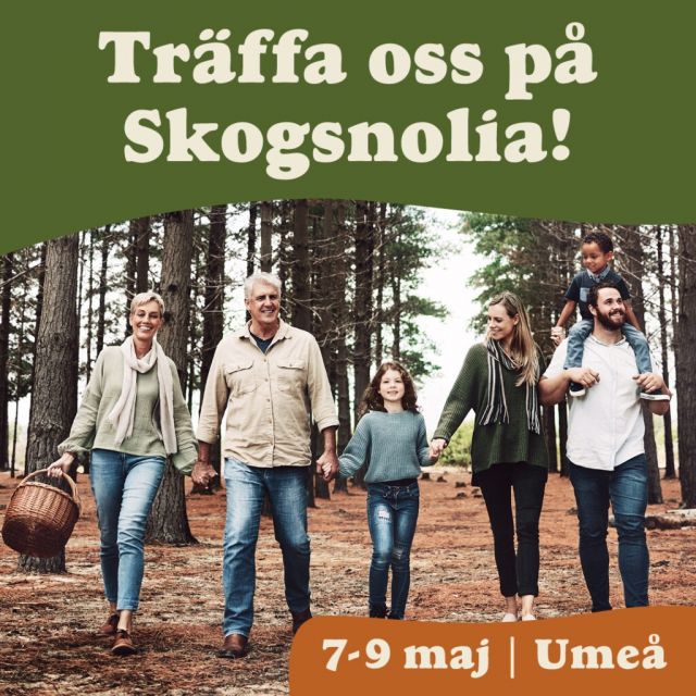 Skogsnolia