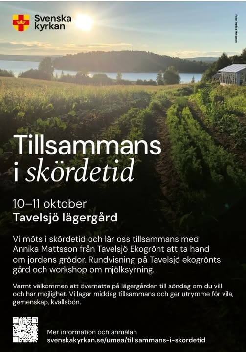 ekogrönt