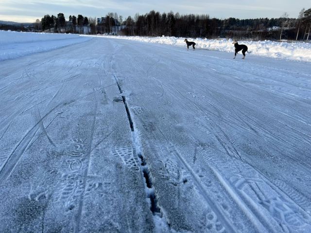 isbanasprickor copy copy copy copy