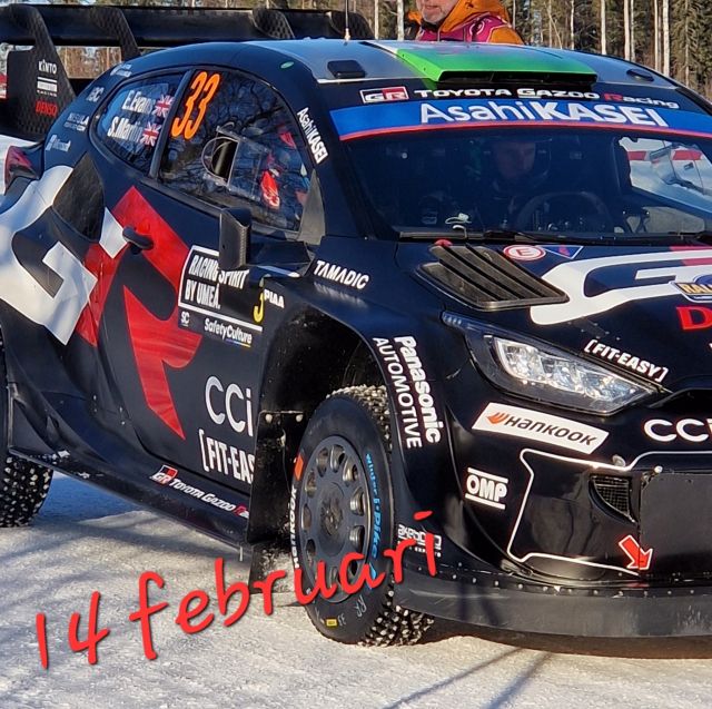 rally funktionär copy