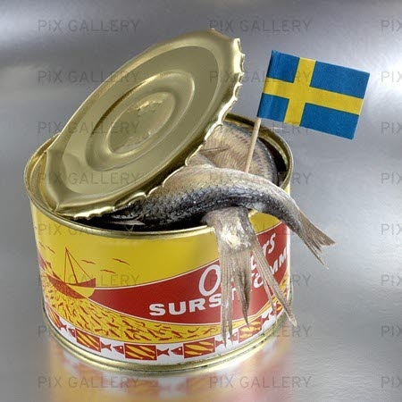 surströmming copy