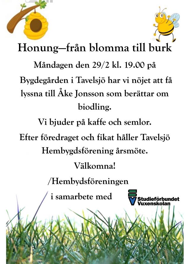 föreläsning honung