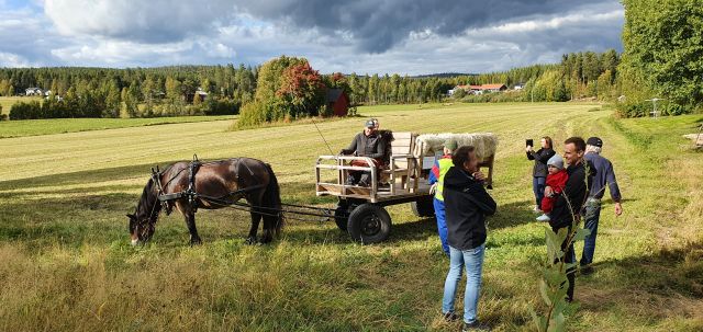 20220911 142030 häst o vagn