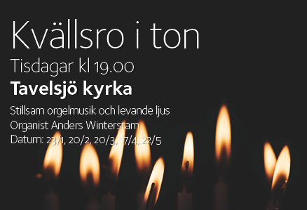 180123 Kvällsro i ton webb
