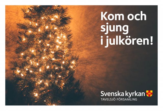 181108 bygdeportalen Julkör