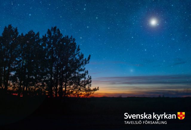 181115 Bygdeportalen Kyrkmys Jul i stallet