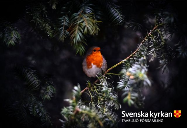 181226 bygdeportalen Musikgudstjänst