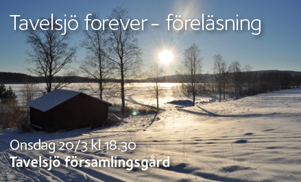 190320 Puff föreläsning Tavelsjö forever