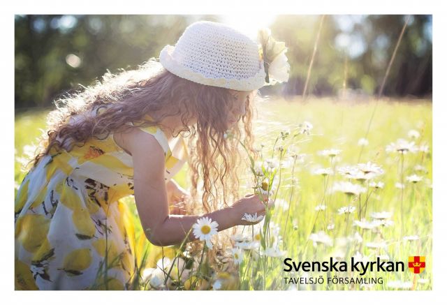 190404 bygdeportalen Kyrkmys