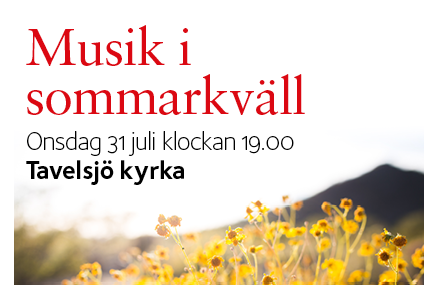 190731 webb tav Musik i sommarkvall