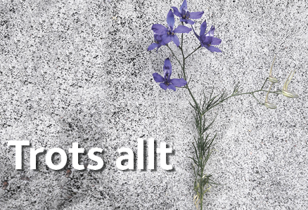 190922 puff trots allt