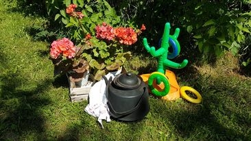 Kaffepanna blommor sommar