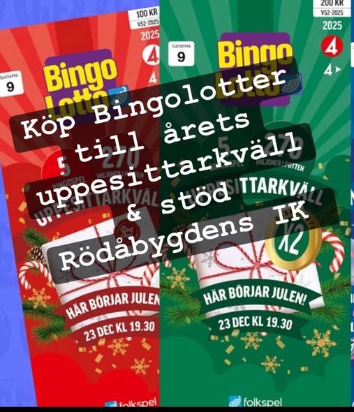 bingolott